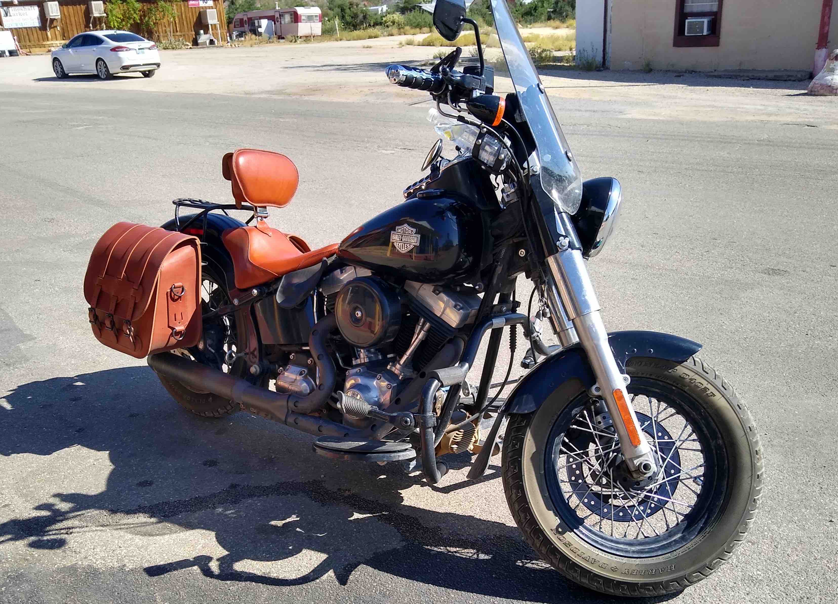 Harley-Davidson Softail Steer Hide Custom Seat Backrest and Saddlebags