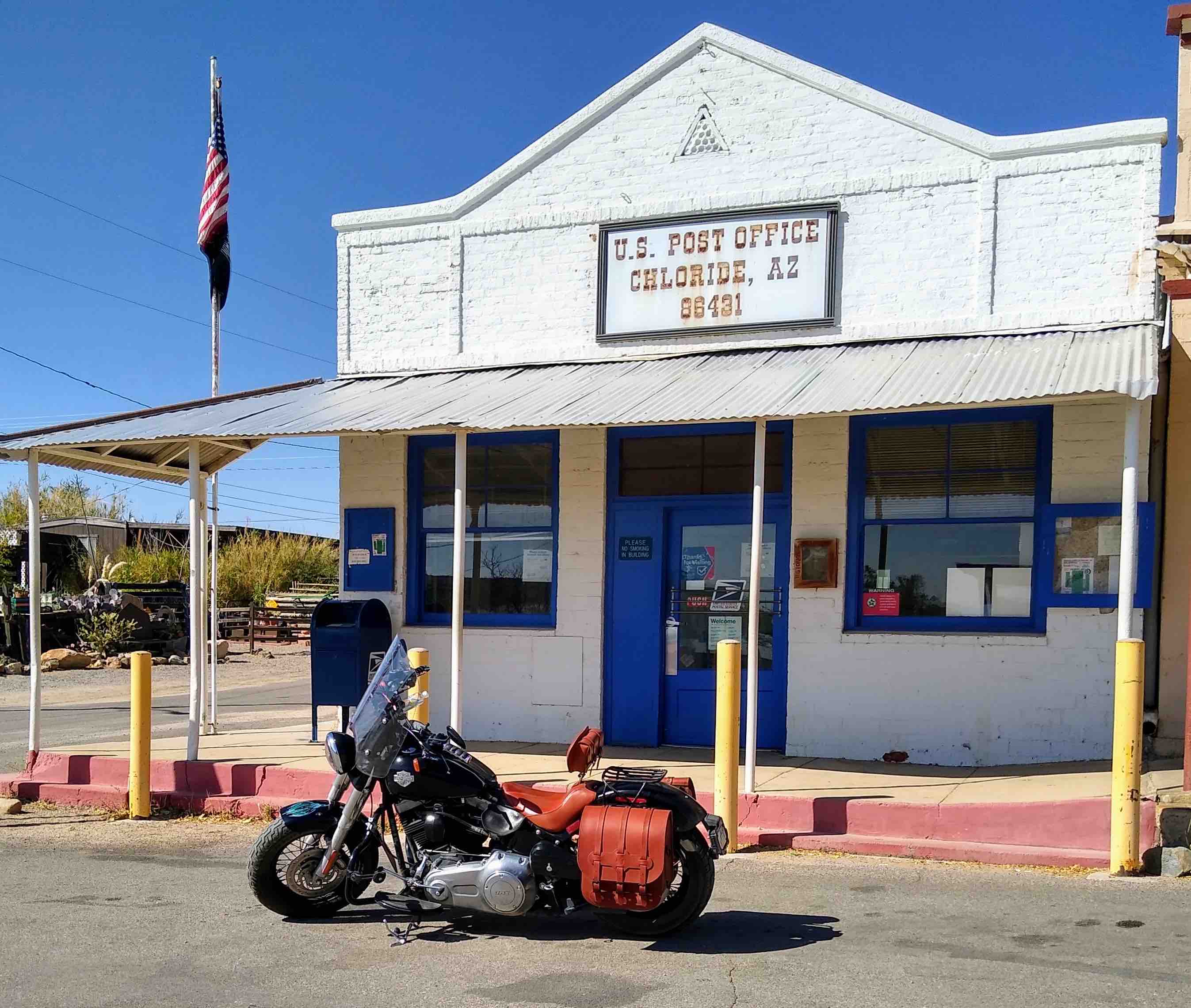 Harley-Davidson Softail Steer Hide Custom Seat Backrest and Saddlebags